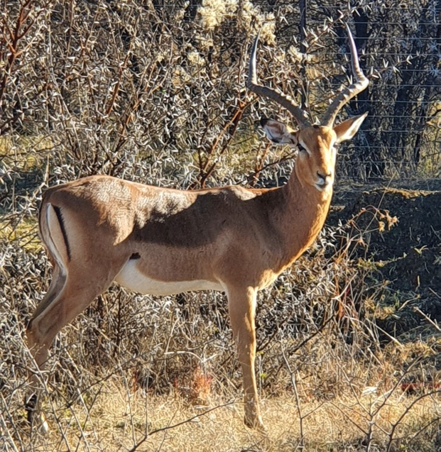 Commercial Property for Sale in La Camargue Private Country Estate North West